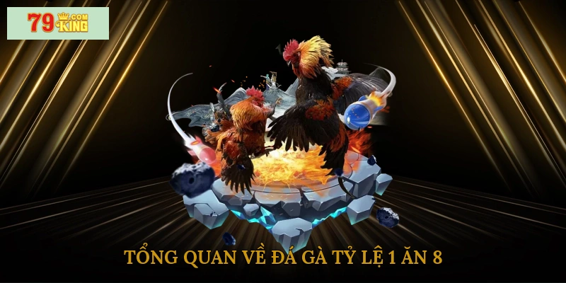 Tổng quan về đá gà tỷ lệ 1 ăn 8